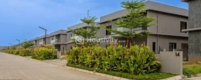 Subishi Forest Edge Image 17