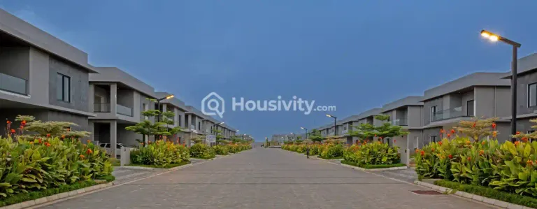 Subishi Forest Edge Image 2