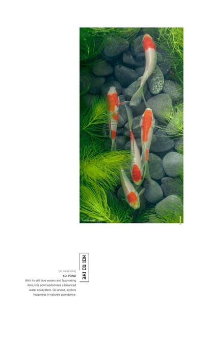 Sobha Dream Gardens Brochure Image 8
