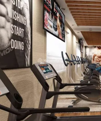 ATH Royal Queen Image 5