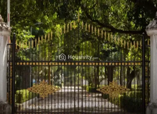 MP Ferns Paradise Image 1