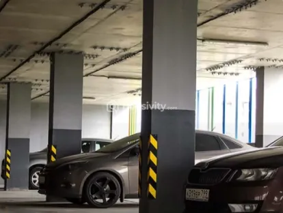 MP Ferns Paradise Image 6