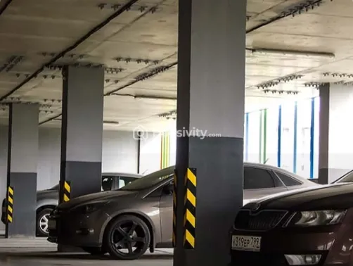 MP Ferns Paradise Image 6