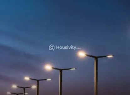 MP Ferns Paradise Image 5