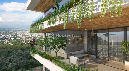 Jyothi Valencia Image 2