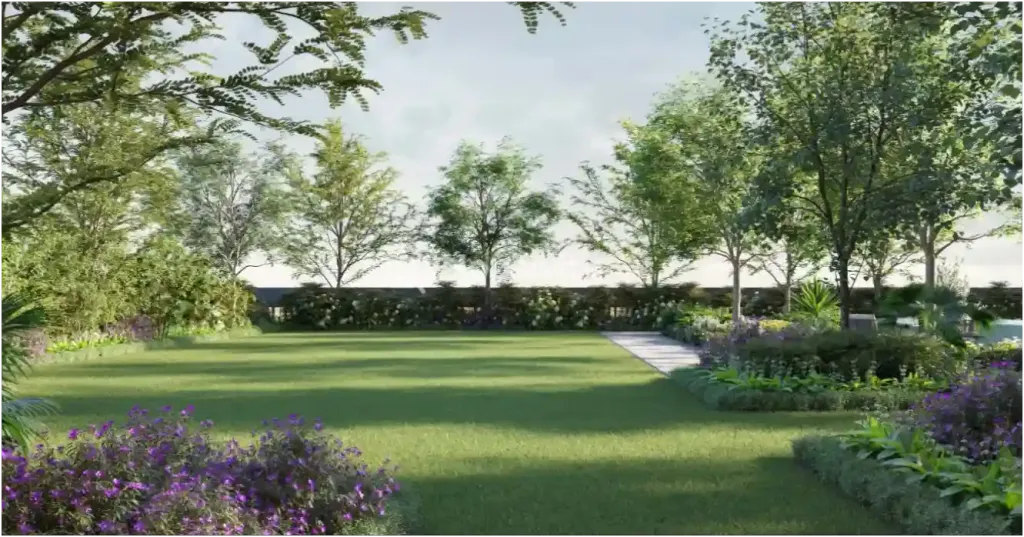 Merlin Niyasa Image 4