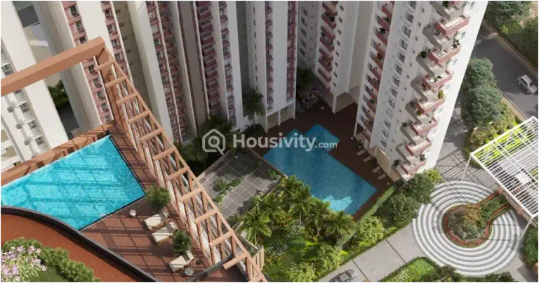 Merlin Serenia Image 7