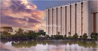 Merlin Serenia Image 3