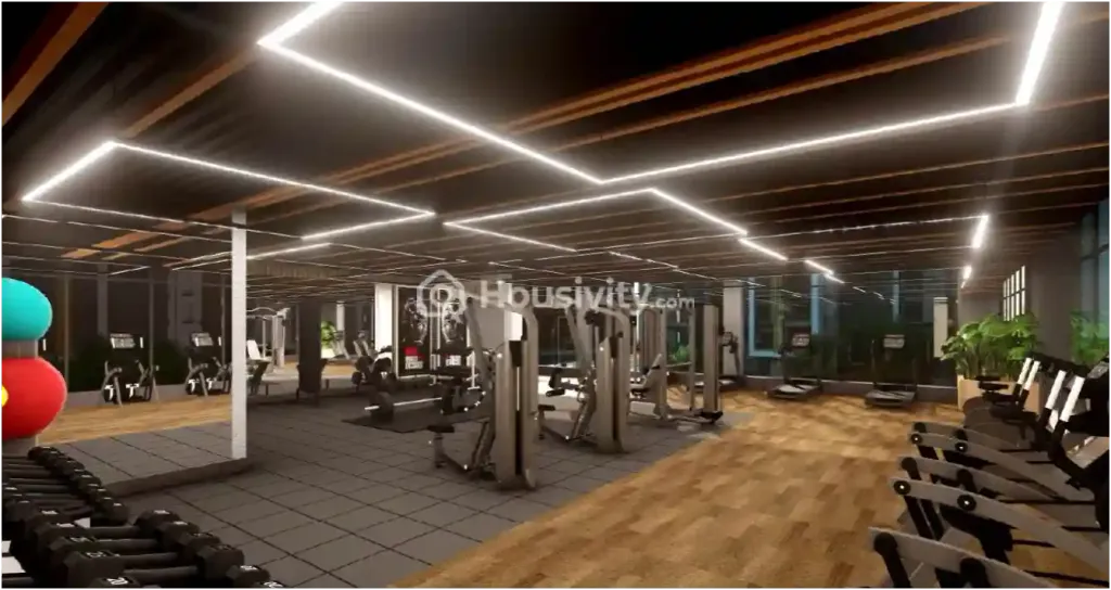 Merlin Avana Image 3