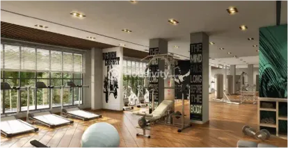 Merlin Skygaze Image 8