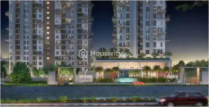 Merlin Skygaze Image 16