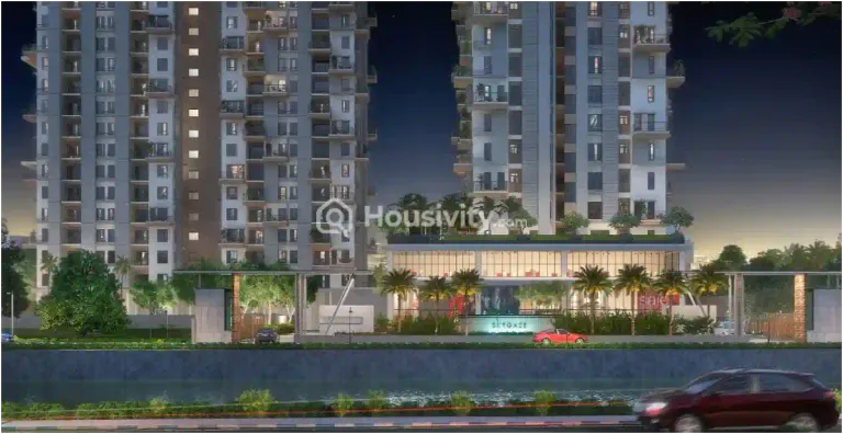 Merlin Skygaze Image 16