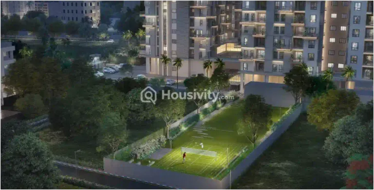 Merlin Skygaze Image 13