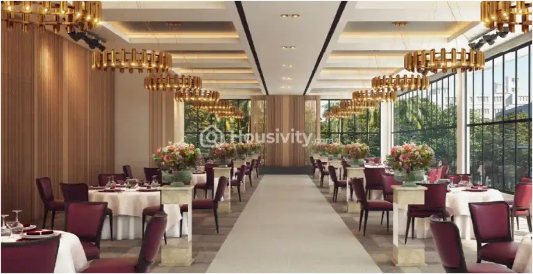 Merlin Skygaze Image 9