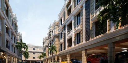 Viva Vibrant Image 2