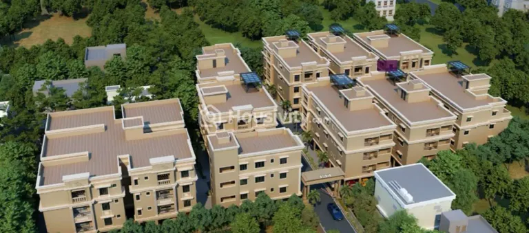 Viva Vibrant Image 3