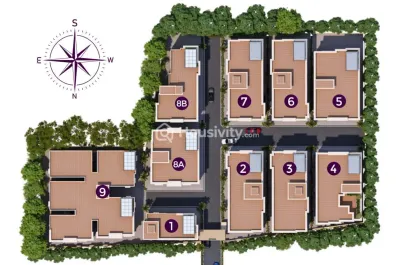 Viva Vibrant Image 4