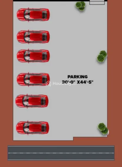 Viva Vitalis Image 3