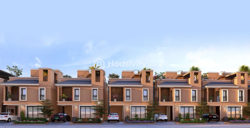 DAC House Of Palisade Image 2