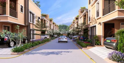 DAC House Of Palisade Image 12