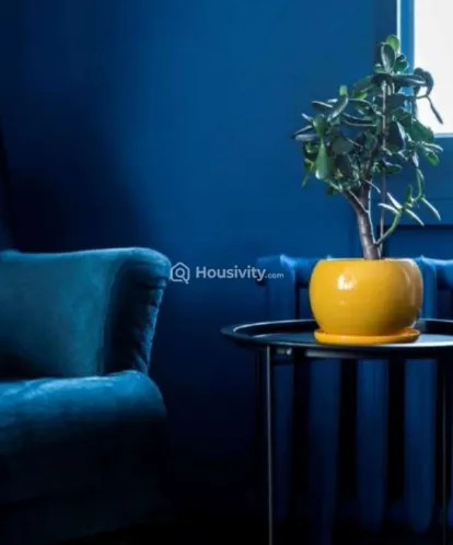 Kcee Srinivasam Image 2