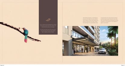Appaswamy Malkoha Brochure Image 8