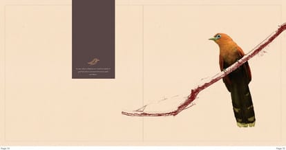 Appaswamy Malkoha Brochure Image 40