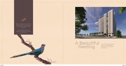 Appaswamy Malkoha Brochure Image 7