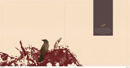 Appaswamy Malkoha Brochure Image 10