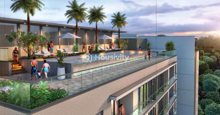 Appaswamy Malkoha Image 9