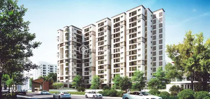 DRA Harmony Thumbnail