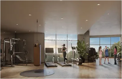 PS Quintessa Image 2