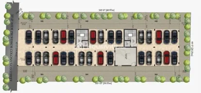 Harmony Blossoms Image 5