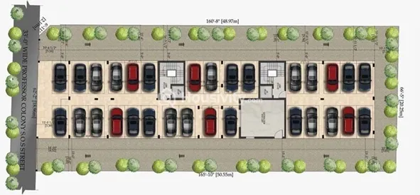 Harmony Blossoms Image 5