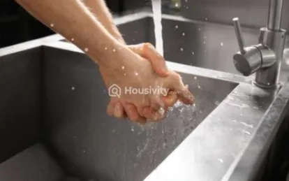 Harmony Vruksha Image 1