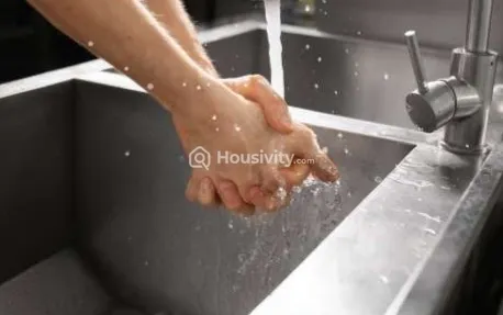 Harmony Vruksha Image 1