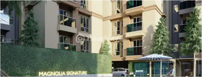 Magnolia Signature Image 5