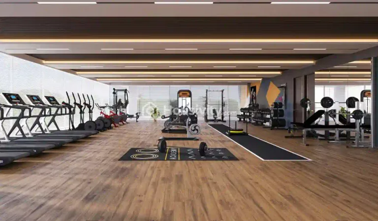 Vertex Viraat Image 3