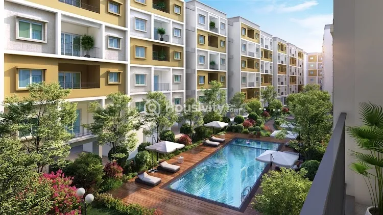 Radiance Flourish Image 3