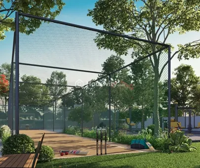 Radiance Flourish Image 11