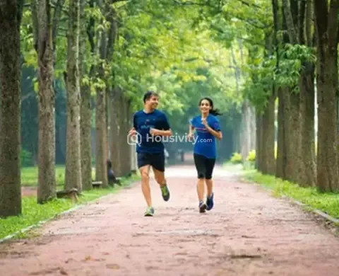 Radiance Majestic Image 5