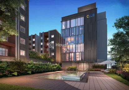 Radiance The Prime Image 7