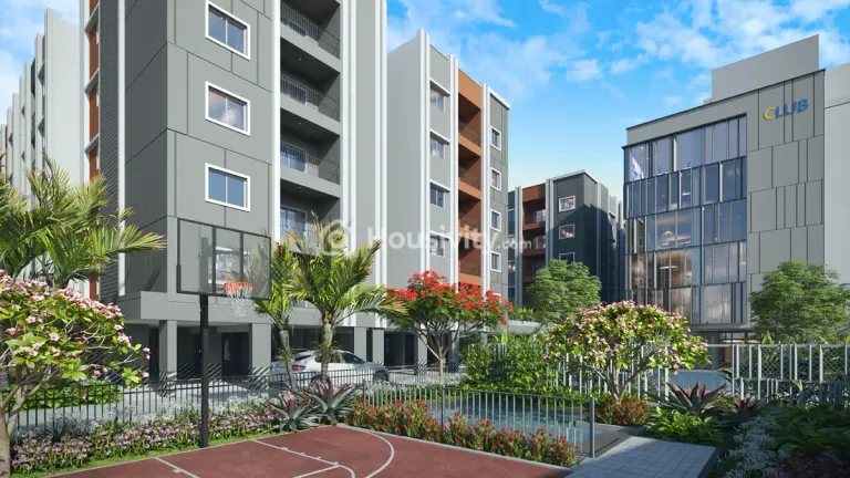 Radiance The Prime Image 3