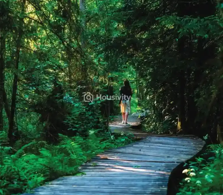 Incor Lake City Image 8