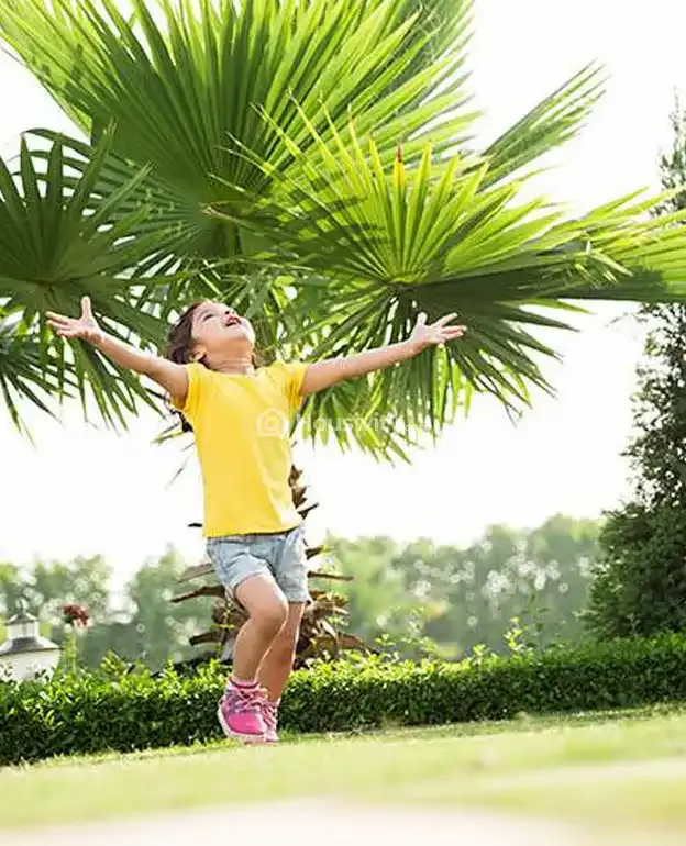 Sreenivasam Image 18