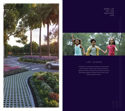 The Olympus Brochure Image 10