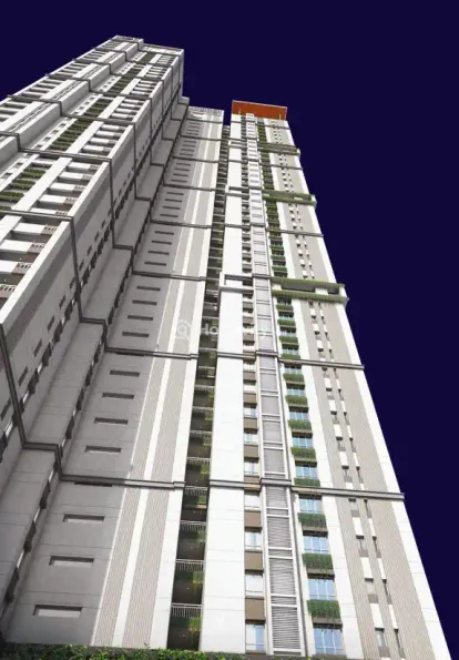 The Olympus Image 17