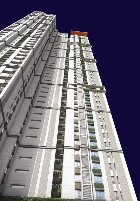 The Olympus Image 17