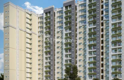 KG Impressions Image 3