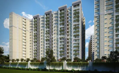 KG Elevate Thumbnail